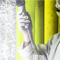 GreenSea va étendre son expertise dans l’exploitation des microalgues à travers le projet Poly’Thau.