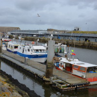 Le port de Lorient Keroman a repassé le cap des 70 M€ de valorisation de captures en 2021.